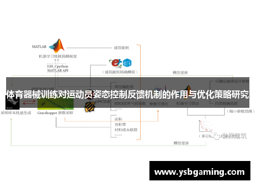 体育器械训练对运动员姿态控制反馈机制的作用与优化策略研究