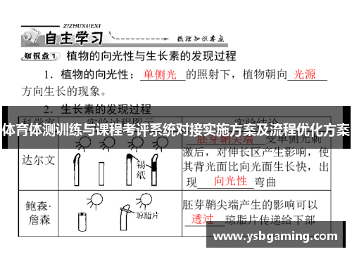 体育体测训练与课程考评系统对接实施方案及流程优化方案