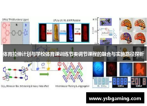 体育拉伸计划与学校体育课训练节奏调节课程的融合与实施路径探析
